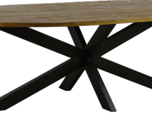 Eettafel 1 ovaal spinpoot