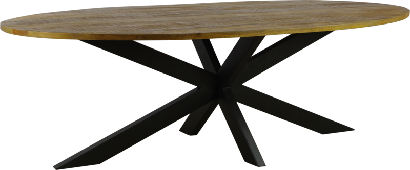 Eettafel 1 ovaal spinpoot