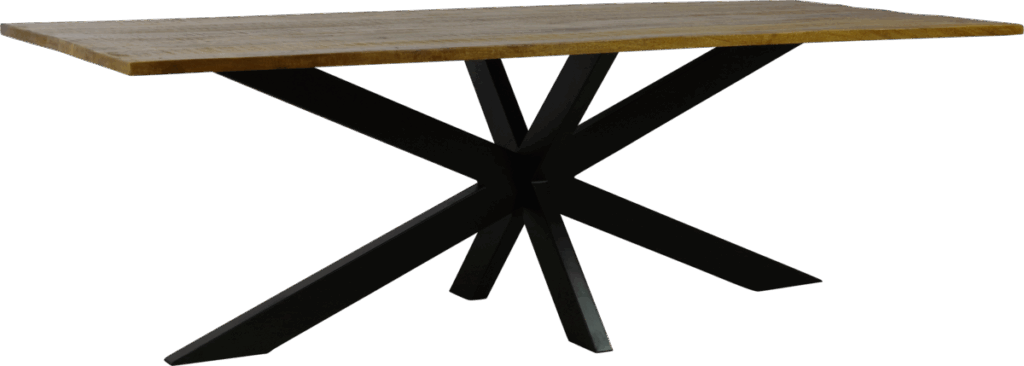 Eettafel 2 rechthoek spinpoot