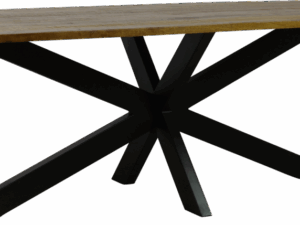 Eettafel 2 rechthoek spinpoot
